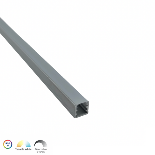 פרופיל תאורה צמוד/תלוי W.P 10/10